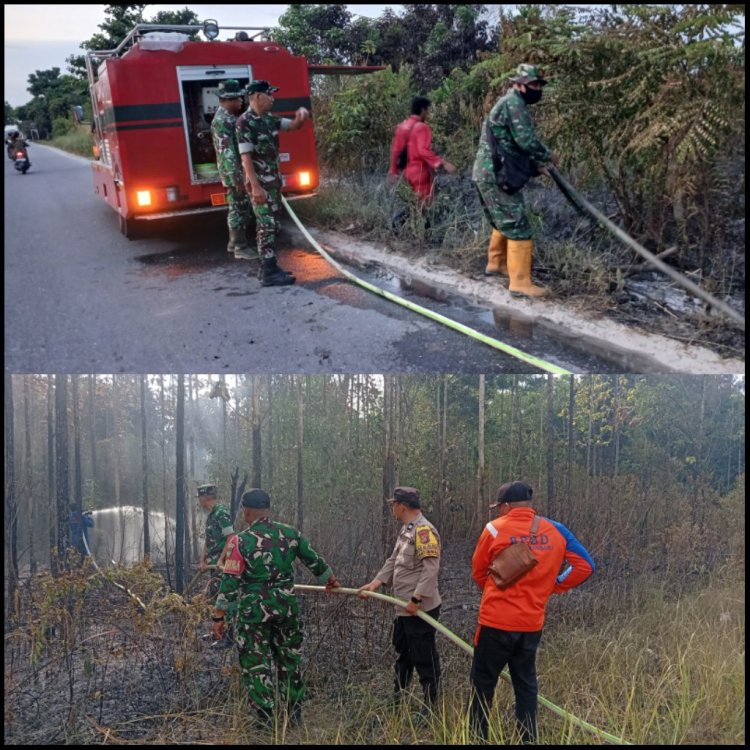 Kodim 0301/Pekanbaru Gerak Cepat Padamkan Karhutla di Dua Lokasi, 2,5 Hektare Lahan Terbaka